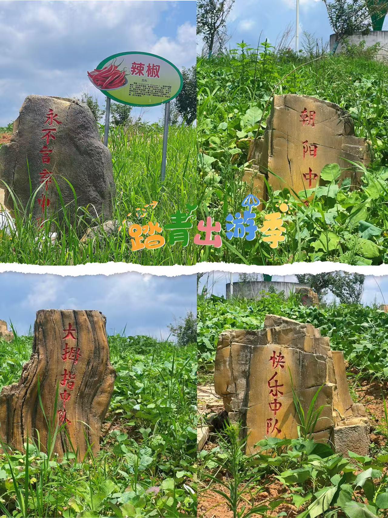 农耕基地