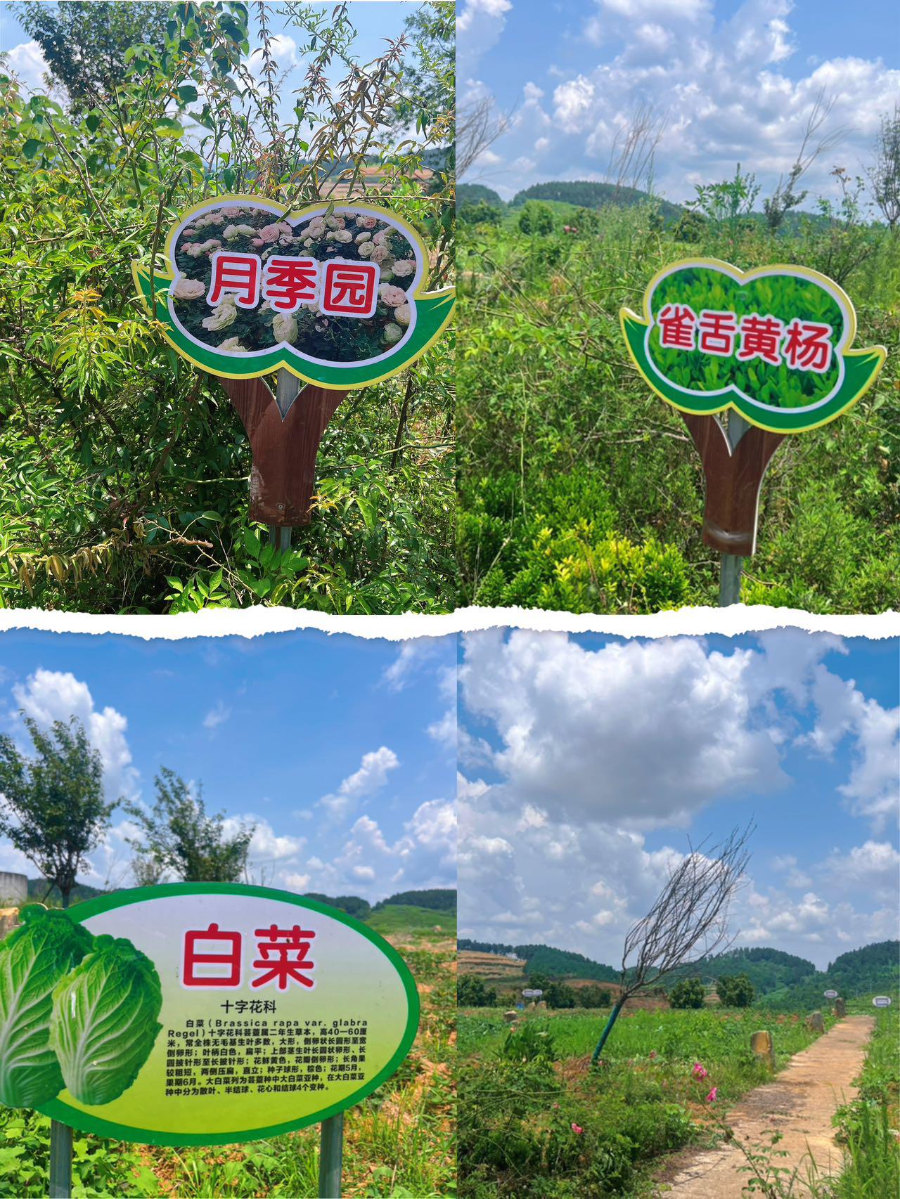 基地环境